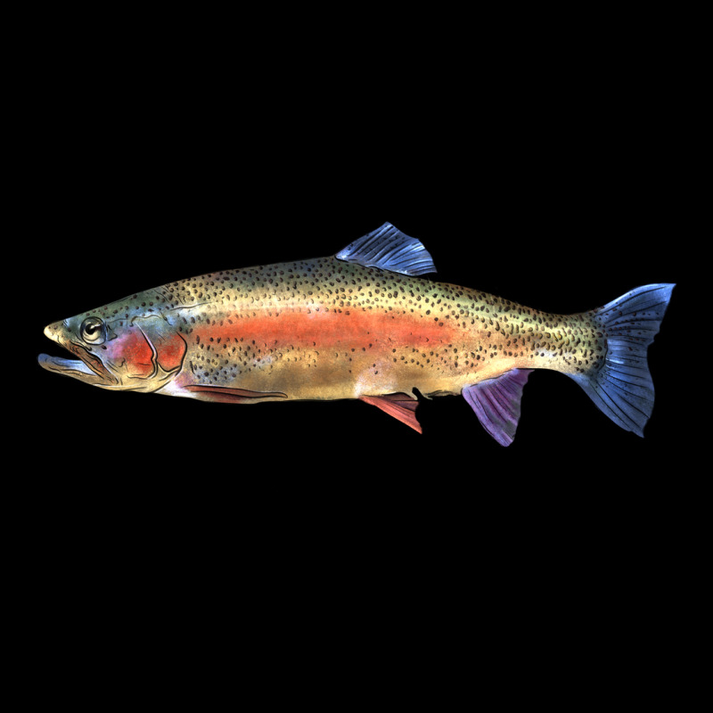 Rainbow Trout Heavy Core Tee by LillyAllenDesigns | Teevron