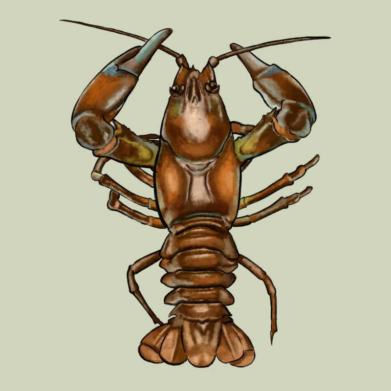 Crawfish Heavyweight Hoodie by FaDigitalArtStudio | Teevron