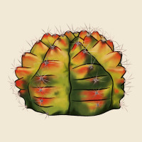 Gymnocalycium Variegated Cactus Premium Tee | Teevron