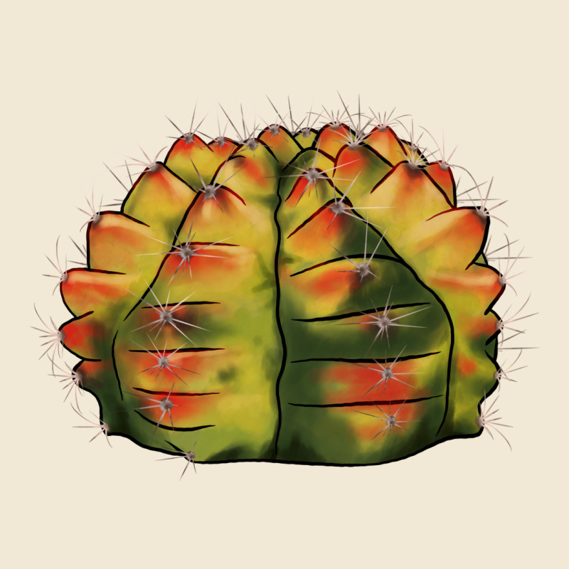 Gymnocalycium Variegated Cactus Premium Tee by LillyAllenDesigns | Teevron