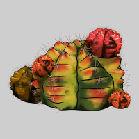 Gymnocalycium Variegated Cactus Premium Tee | Teevron