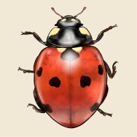 Lady Bug Premium Tee | Teevron