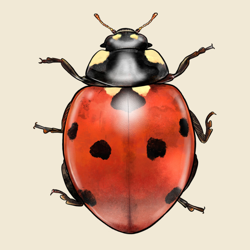 Lady Bug Premium Tee by LillyAllenDesigns | Teevron