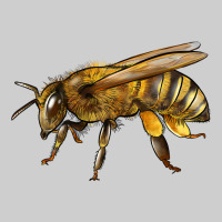 Bee Side Premium Tee | Teevron