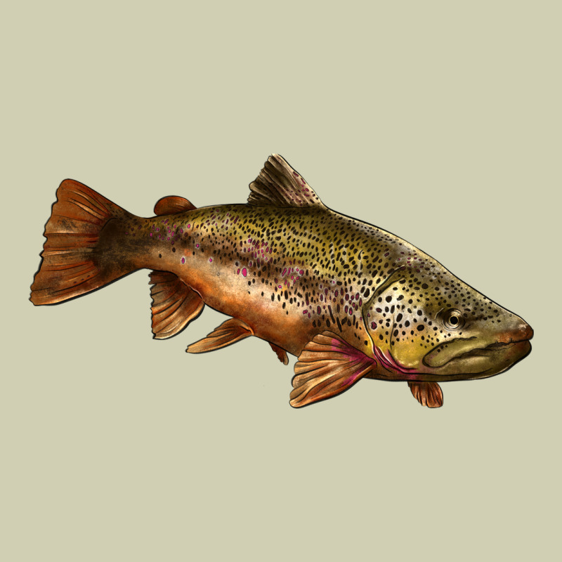 Brown Trout Heavy Core Tee by LillyAllenDesigns | Teevron