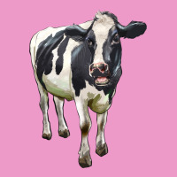 Holstein Bull Urban Hoodie | Teevron