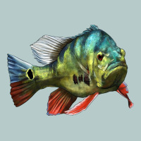 Peacock Bass Illustrations Heavy Core Tee | Teevron