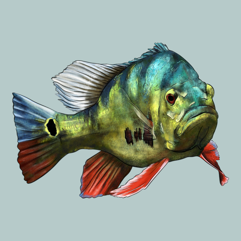 Peacock Bass Illustrations Heavy Core Tee by LillyAllenDesigns | Teevron