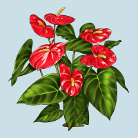 Anthurium Ladies Tee | Teevron
