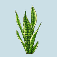 Snake Plant Ladies Tee | Teevron