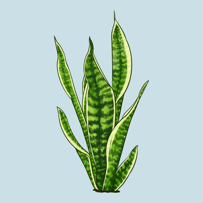 Snake Plant Ladies Tee by LillyAllenDesigns | Teevron