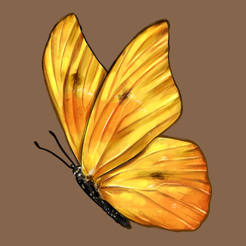 Flying Cloudless Sulphur Butterfly Premium Tee by LillyAllenDesigns | Teevron