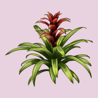 Bromeliads Ladies Tee | Teevron