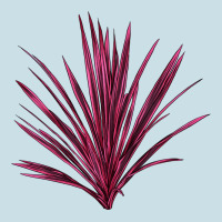 Pink Cordyline Ladies Tee | Teevron