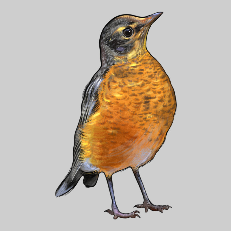 American Robin Bird Premium Tee by LillyAllenDesigns | Teevron