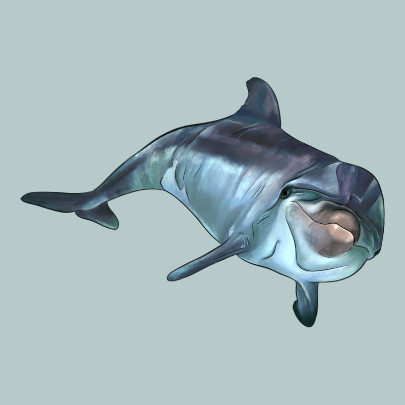 Bottlenose Dolphin Heavy Core Tee by LillyAllenDesigns | Teevron