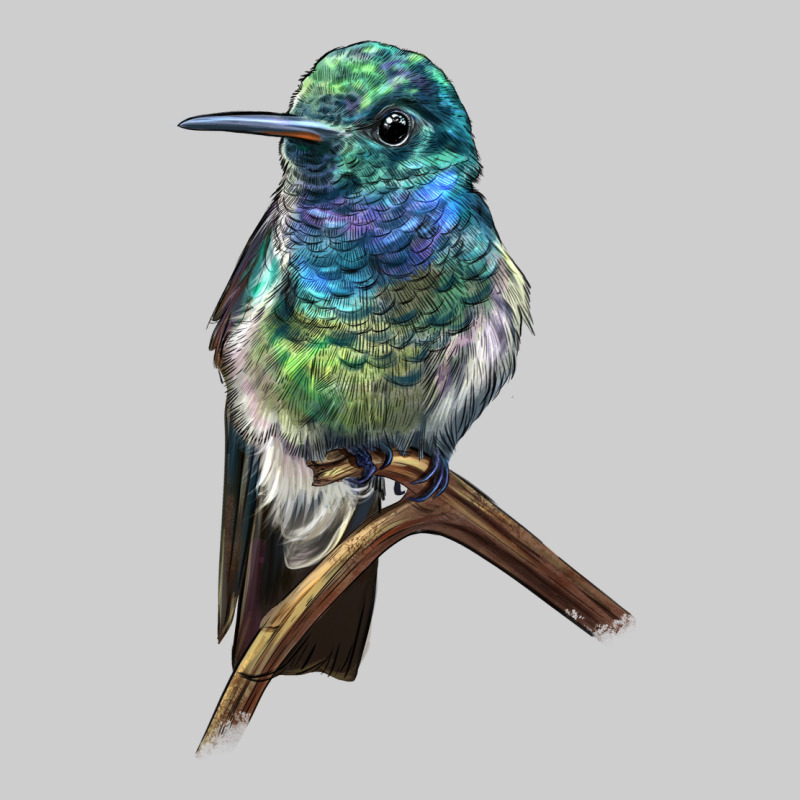 Ruby Throcuted Hummingbird Premium Tee by LillyAllenDesigns | Teevron