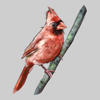 Northern Cardinal Bird Premium Tee | Teevron