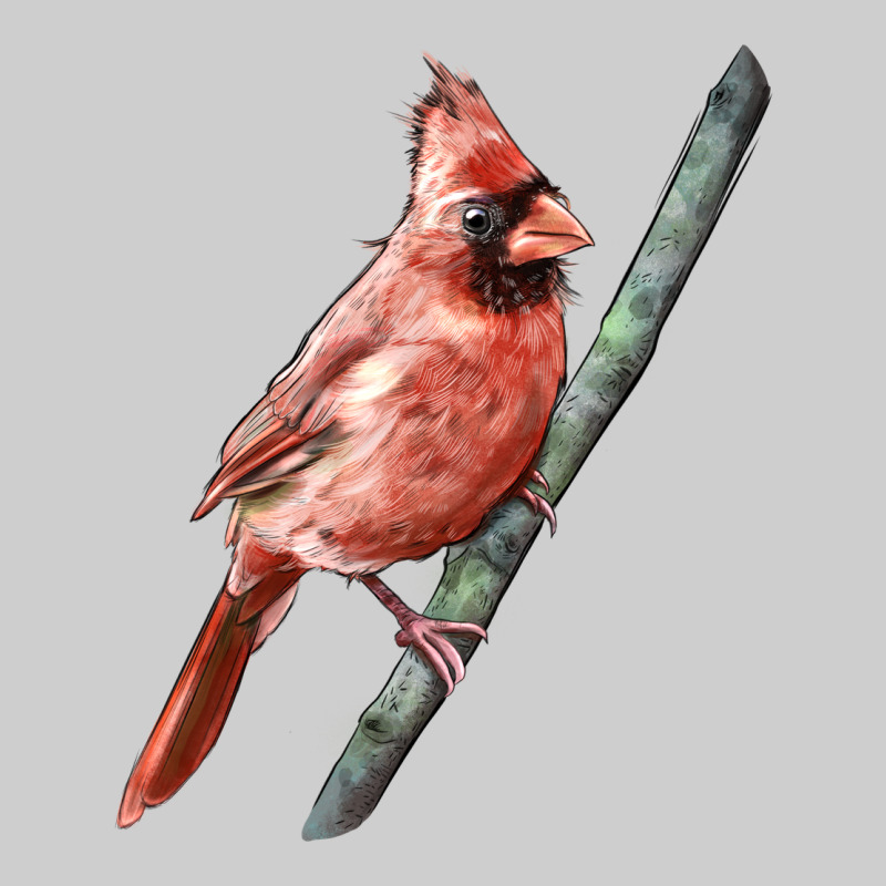 Northern Cardinal Bird Premium Tee by LillyAllenDesigns | Teevron