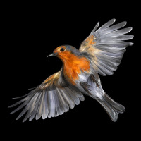 Flying American Robin Premium Tee | Teevron