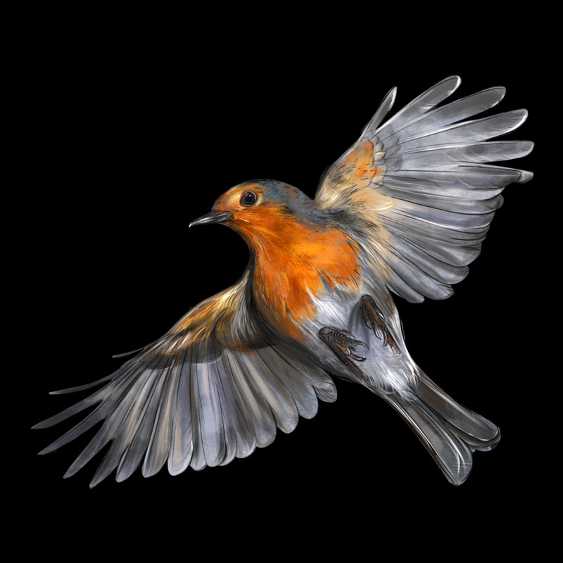 Flying American Robin Premium Tee by LillyAllenDesigns | Teevron