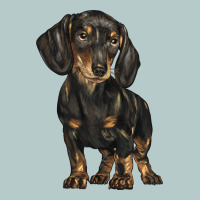 Dachshund Heavy Core Tee | Teevron