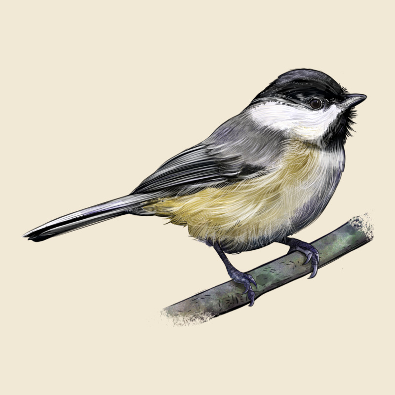 Black Capped Chickadee Premium Tee by LillyAllenDesigns | Teevron
