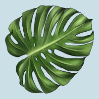 Monstera Leaf Ladies Tee | Teevron