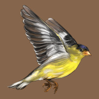 Flying American Goldfinch Premium Tee | Teevron