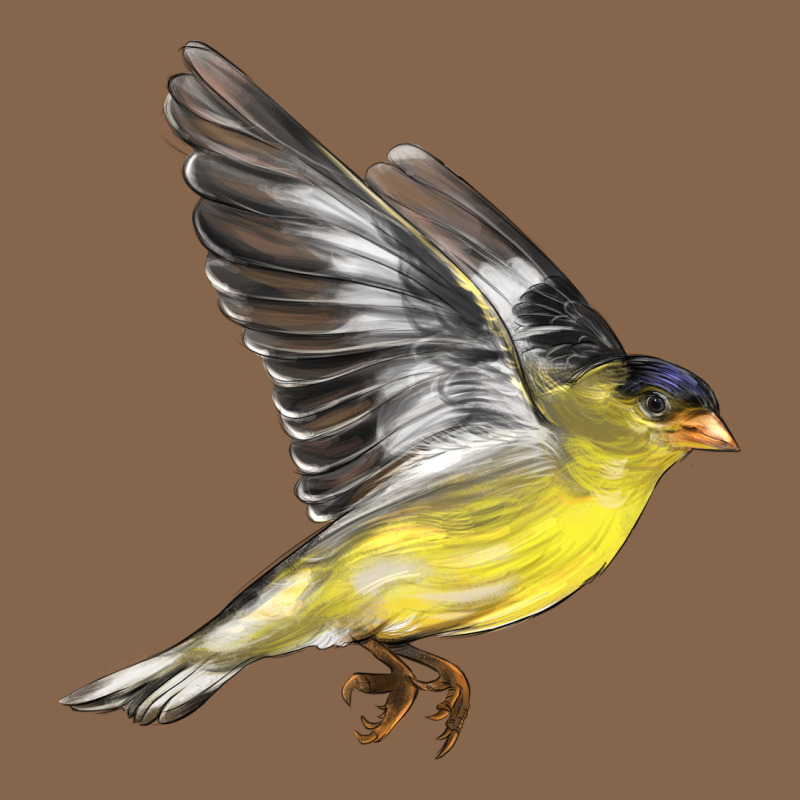 Flying American Goldfinch Premium Tee by LillyAllenDesigns | Teevron