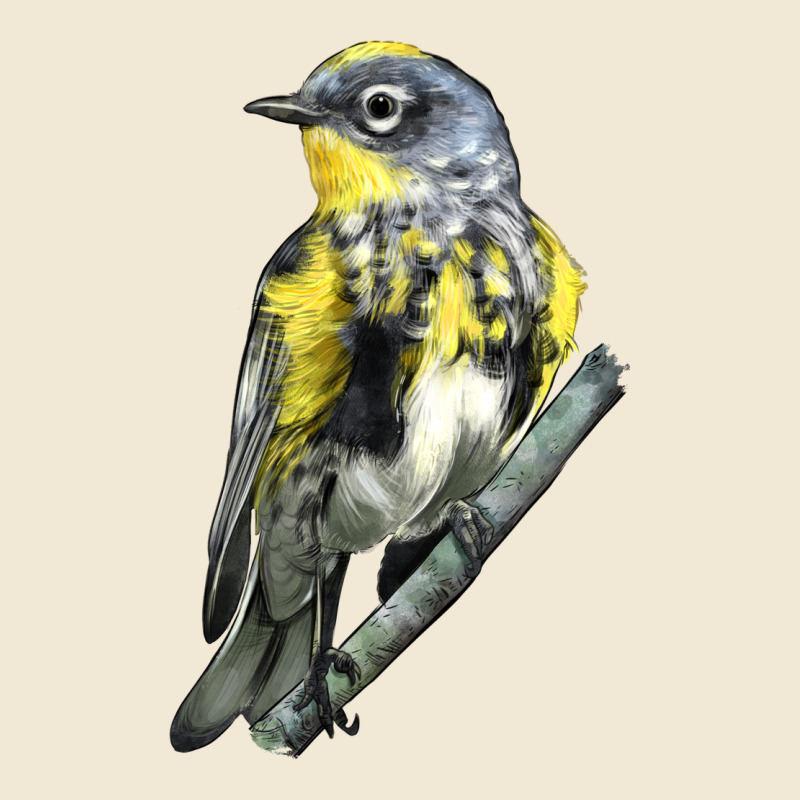 Yellow Rumped Warbler Premium Tee by LillyAllenDesigns | Teevron