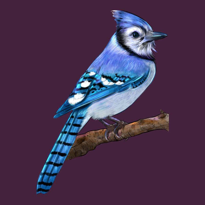 Blue Jay Bird Premium Tee by LillyAllenDesigns | Teevron