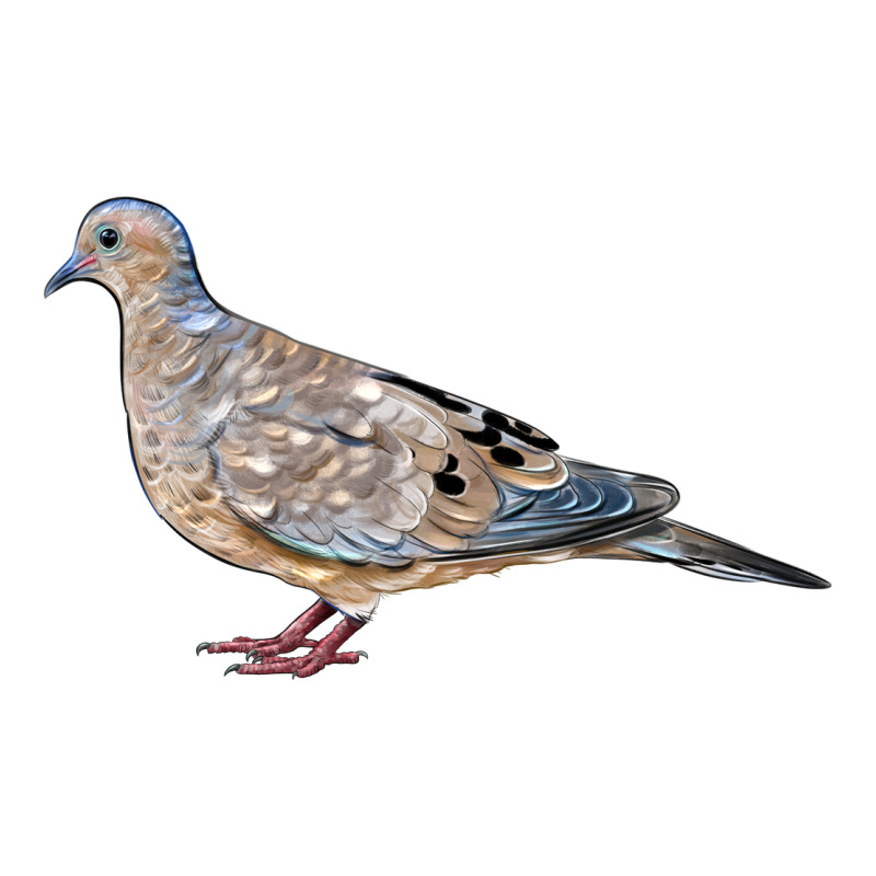 American Dove Premium Tee by LillyAllenDesigns | Teevron