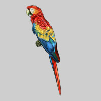 Scarlet Macaw Parrot Premium Tee | Teevron