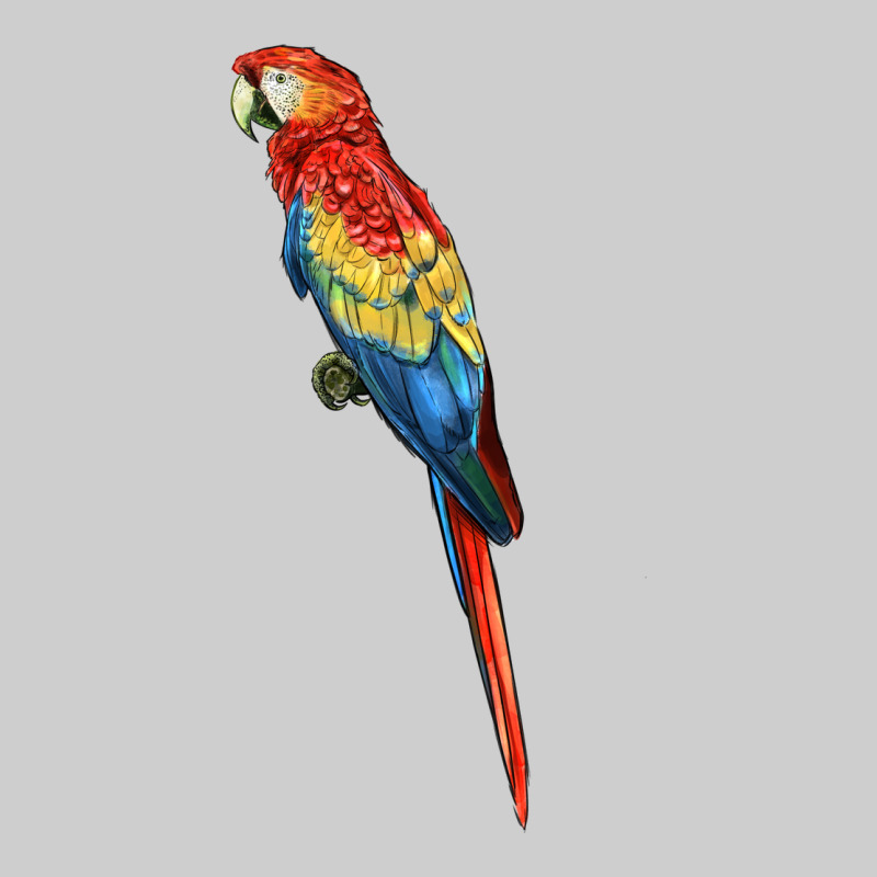 Scarlet Macaw Parrot Premium Tee by LillyAllenDesigns | Teevron