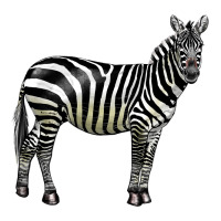 zebra | Teevron