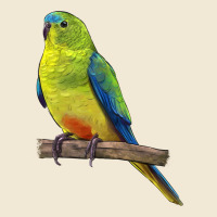Neophema Parrot Premium Tee | Teevron