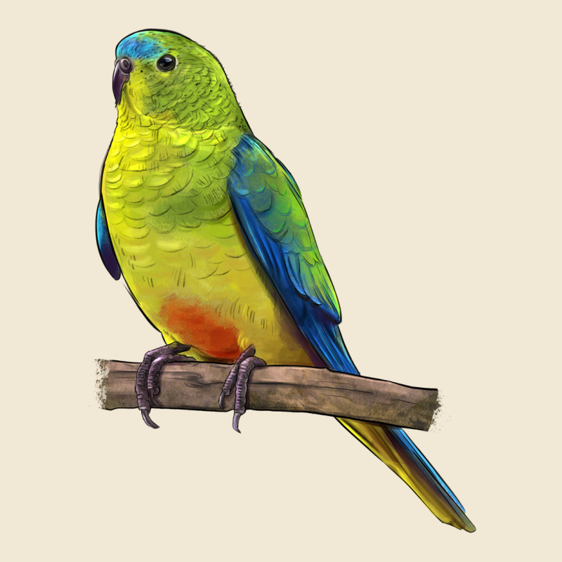 Neophema Parrot Premium Tee by LillyAllenDesigns | Teevron