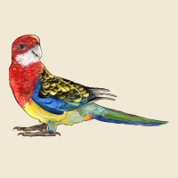 Rosella Bird Premium Tee | Teevron