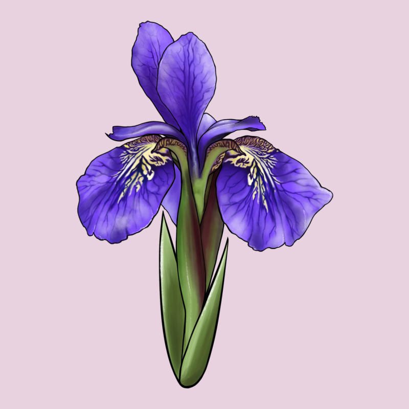Iris Flower Illustrations Ladies Tee by LillyAllenDesigns | Teevron