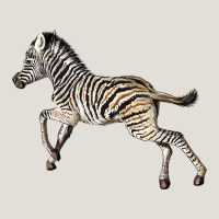 Baby Zebra Heavy Core Tee | Teevron