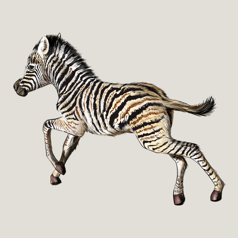 Baby Zebra Heavy Core Tee by LillyAllenDesigns | Teevron