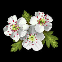 Hawthorn Flower Illustrations Ladies Tee | Teevron