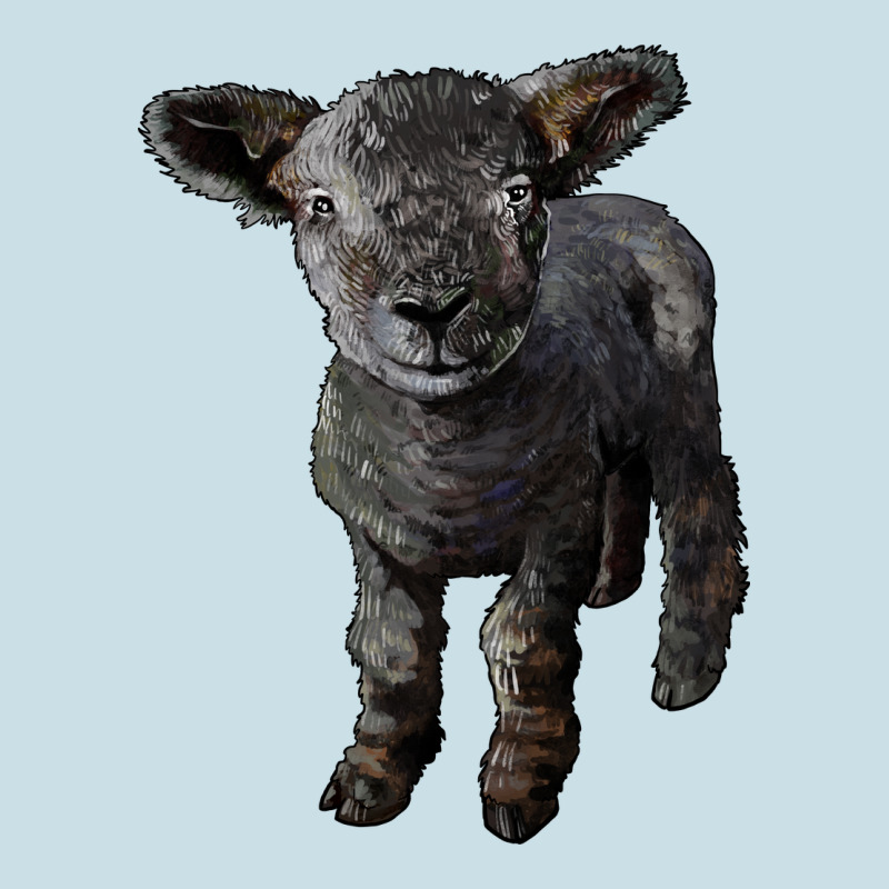 Southdown Baby Sheep Ladies Tee by LillyAllenDesigns | Teevron