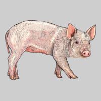 American Yorkshire Pig  Baby Premium Tee | Teevron