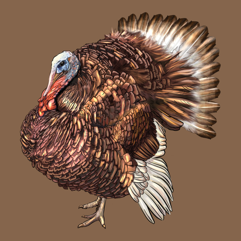 Bourbon Red Turkey Premium Tee by LillyAllenDesigns | Teevron