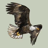 White Headed Eagle Ladies Tee | Teevron