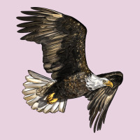 White Headed Eagle Ladies Tee | Teevron