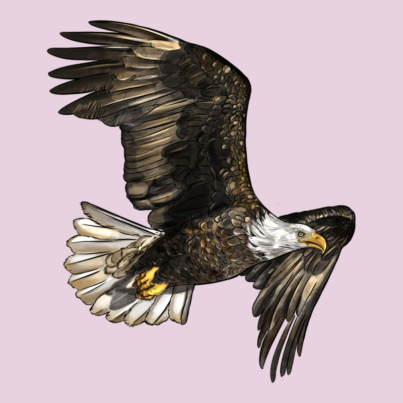 White Headed Eagle Ladies Tee by LillyAllenDesigns | Teevron