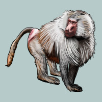 Baboon Heavy Core Tee | Teevron